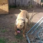 Billy Bathgate - @tha_gizz - Instagram