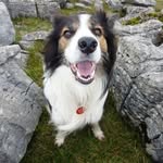 Bill Batson - @bill.batson.98 - Instagram