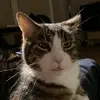 Bill Batton - @bill.batton - TikTok