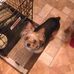Bill Baugh - Facebook