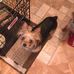 Bill Baugh - Facebook