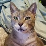 Bill Baughan - @billbaughan - Instagram