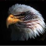 Bill Baughn - @baughnbill - Instagram