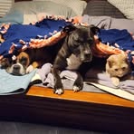 Bill Baumgardner - Facebook