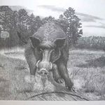 Bill Baumgardner - @hawgs_fan - Instagram