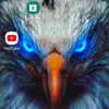 billbaumgardner39 - @billbaumgardner39 - TikTok