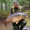 billybaverstock - @billybaverstock - TikTok