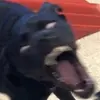 Willow way - @billow_bay - TikTok