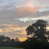 Paintedskies _rankin - @billbaynes - TikTok