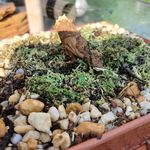 Billy Beamish - @billy.beamish.716 - Instagram