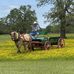 Bill Bean - Facebook