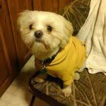 Billy Beane - @thefixer0508 - Instagram