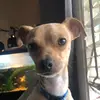 Billy Beane - @billybeane556 - TikTok