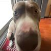 BEANS - @billbeansfanpage - TikTok