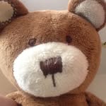 @_billbear_ - Instagram