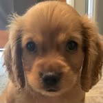 Bill Bear - @itsbillbear - Instagram
