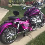 Bill Bear - @bill.bear.52 - Instagram