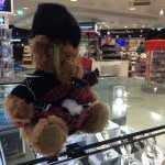 Bill Bear - @thebillthebear - Instagram