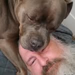 Bill Bear Peters - @billbearpeters - Instagram