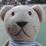 bill.bear_ - @bill.bear_ - Instagram