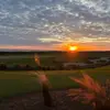 sharkgolf21 - @billbear21 - TikTok