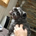 Bill Beaulieu - @beauvais4466 - Instagram