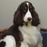 Bill Beauregard - @bill.beauregard - Instagram