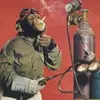 Bill Beauregard - @bill.beauregard - TikTok