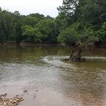 Bill Beaver - @bill.beaver52 - Instagram