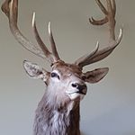 Bill Bechtel - @4willy_b - Instagram