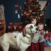 Bill Bechtol - @bill.bechtol - TikTok