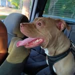 William Bechtold - @will.iam42002 - Instagram