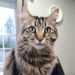 Bill Becker - @becker2468 - Instagram