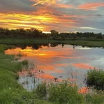 Bill Beckham - @overallbill - Instagram