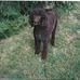 Bill Becknell - Facebook