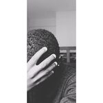 bill_bee - @blogue_bee - Instagram
