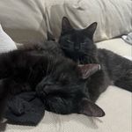 Billy and The Beedle - @billy_and_beedle - Instagram