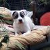Billyjoe Beeson - Facebook
