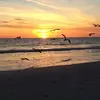 Bill Behrens - @bill.behrens - TikTok
