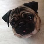 Sybille Behrendt - @billebehrendt - Instagram