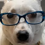 Bill Beitler - Facebook