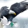 Billy Below - @billy.below - TikTok