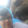 benitoelpugbill - @benitoelpugbill0 - TikTok