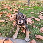Billy Benito - @billysfriendz - Instagram