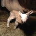 William Binger - Facebook