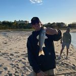 Billy - @bill_bingham1 - Instagram