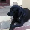 Srïrãm - @bill.birdwell02 - TikTok