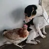 Bïll Yä Birth DësMä - @spam.bebang - TikTok