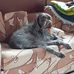 Bill Bisson - Facebook