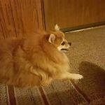 Bill Bittle - @bilwil1212 - Instagram